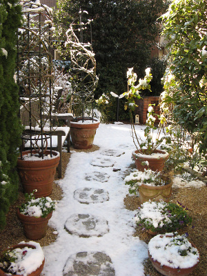 雪が降った後の自宅の庭